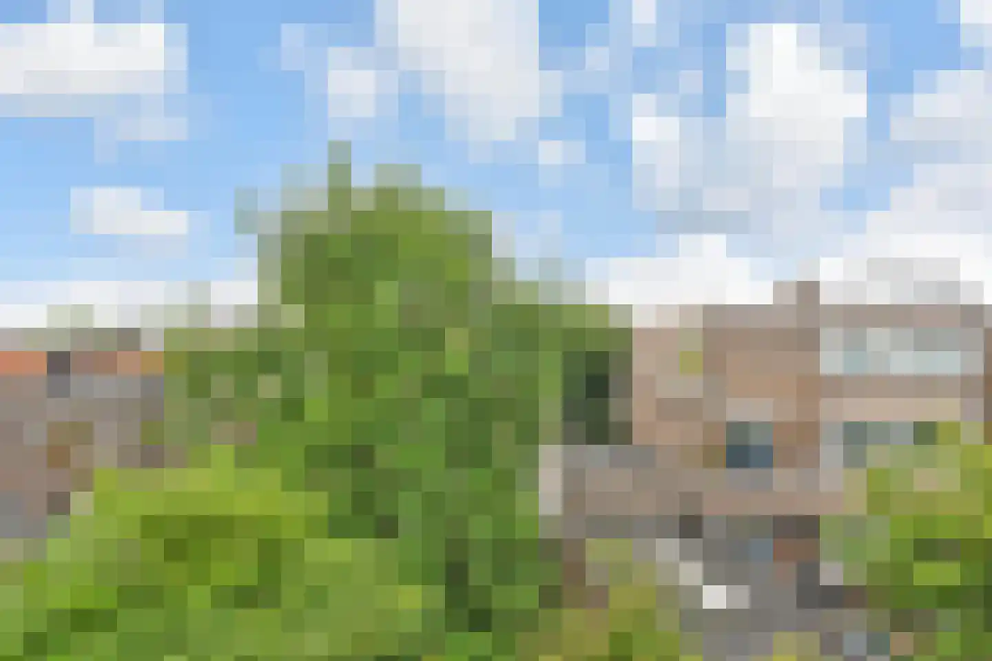 Goudsbloemlaan 26 Den Haag thumbnail 21