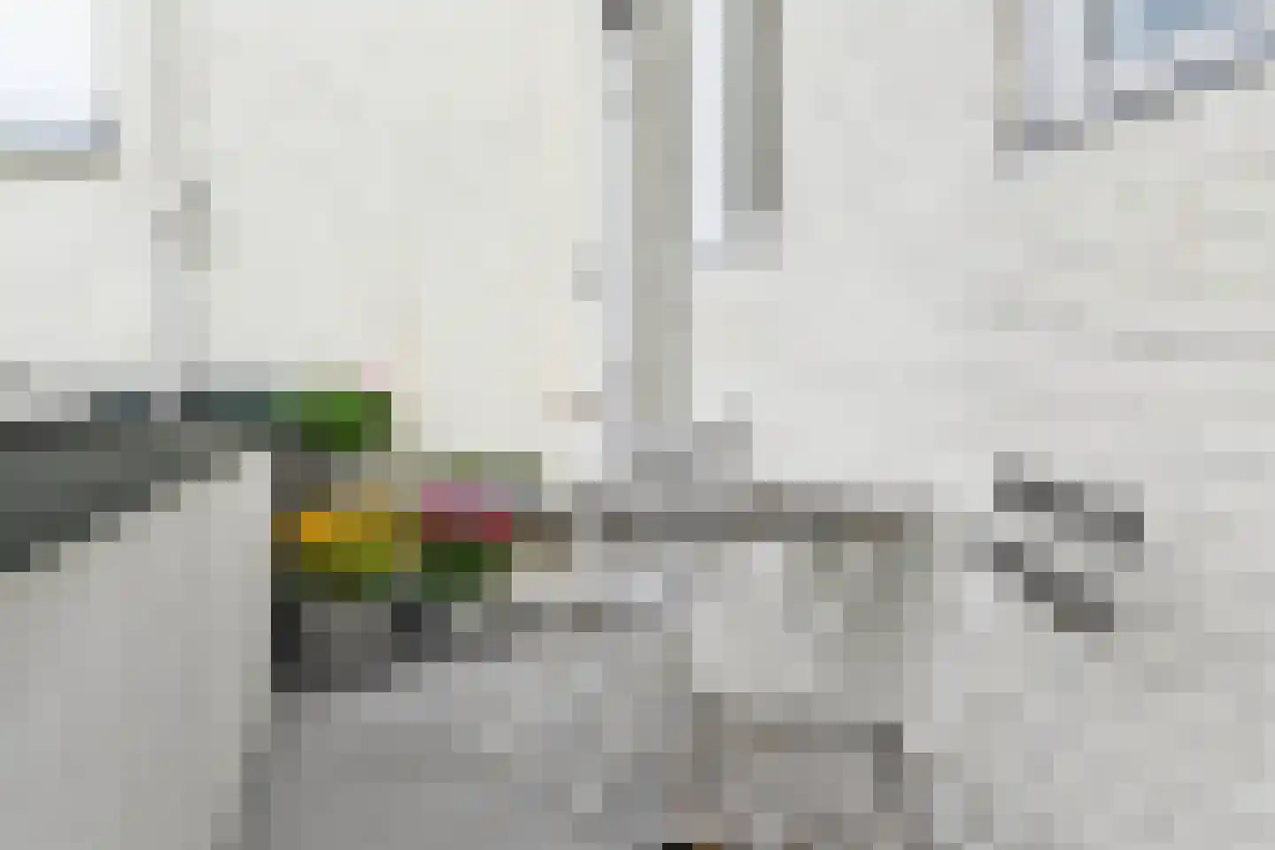 Goudsbloemlaan 26 Den Haag thumbnail 23