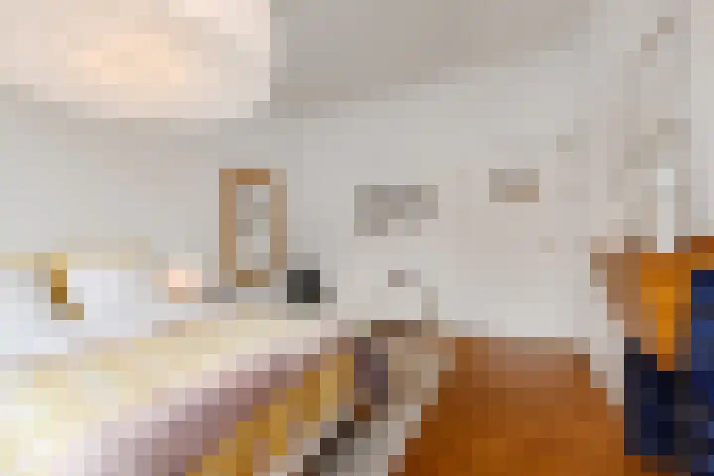 Goudsbloemlaan 26 Den Haag thumbnail 29