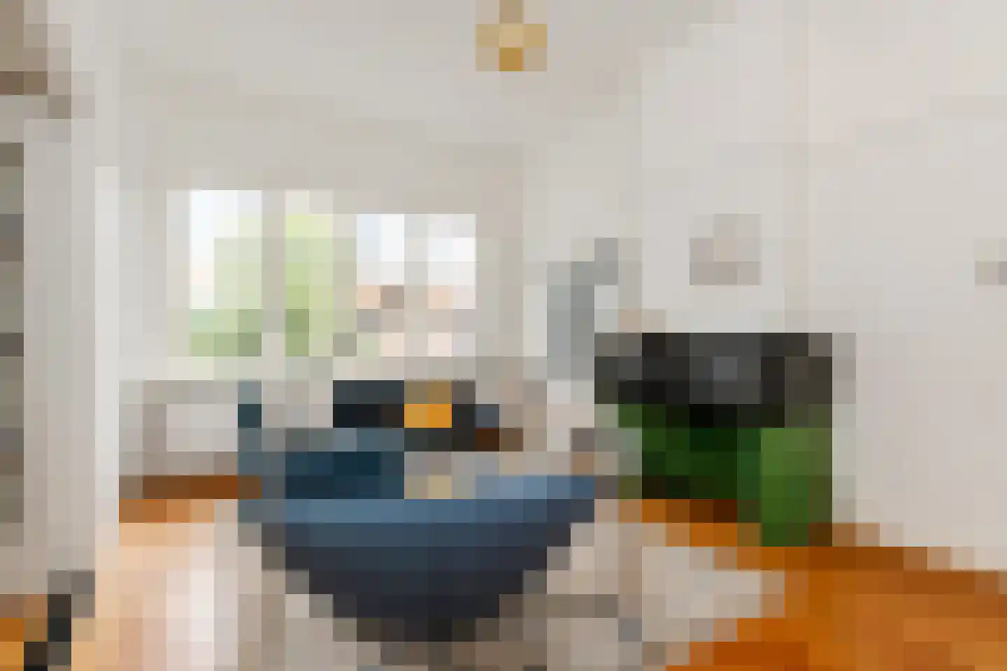 Goudsbloemlaan 26 Den Haag thumbnail 6