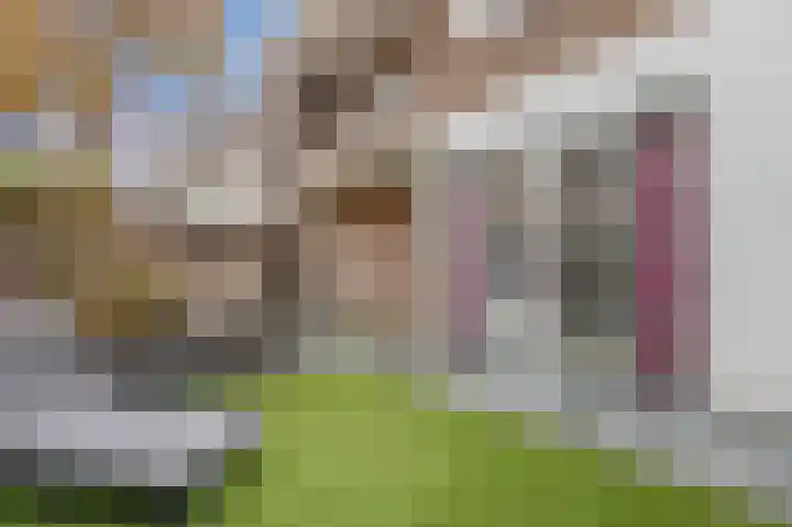 Goudsbloemlaan 37 Den Haag thumbnail 31