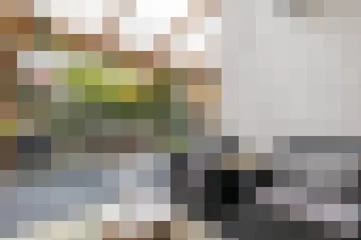 Goudsbloemlaan 37 Den Haag thumbnail 37