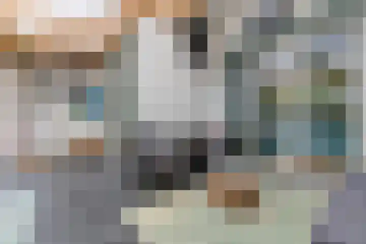 Goudsbloemlaan 37 Den Haag thumbnail 4