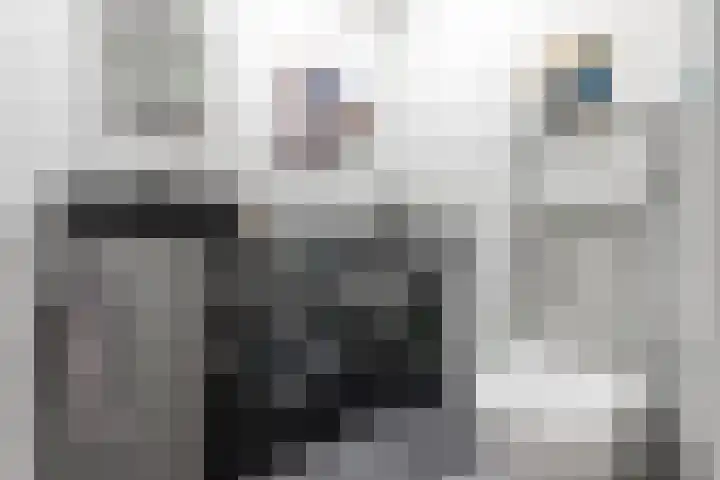 Goudsbloemlaan 37 Den Haag thumbnail 61