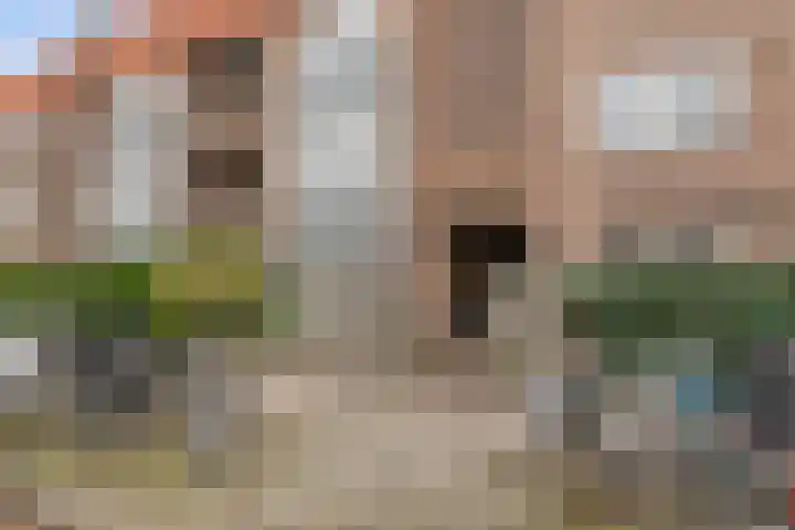 Goudsbloemlaan 37 Den Haag thumbnail 63