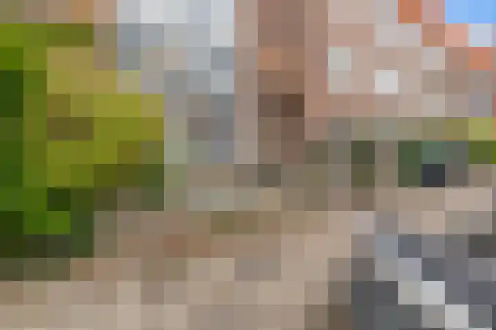 Goudsbloemlaan 37 Den Haag thumbnail 64