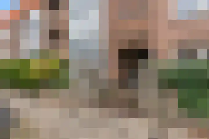 Goudsbloemlaan 37 Den Haag thumbnail 66