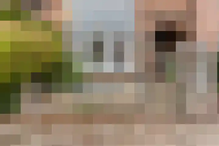 Goudsbloemlaan 37 Den Haag thumbnail 7