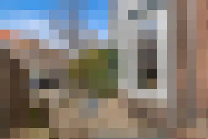 Goudsbloemlaan 37 Den Haag thumbnail 8