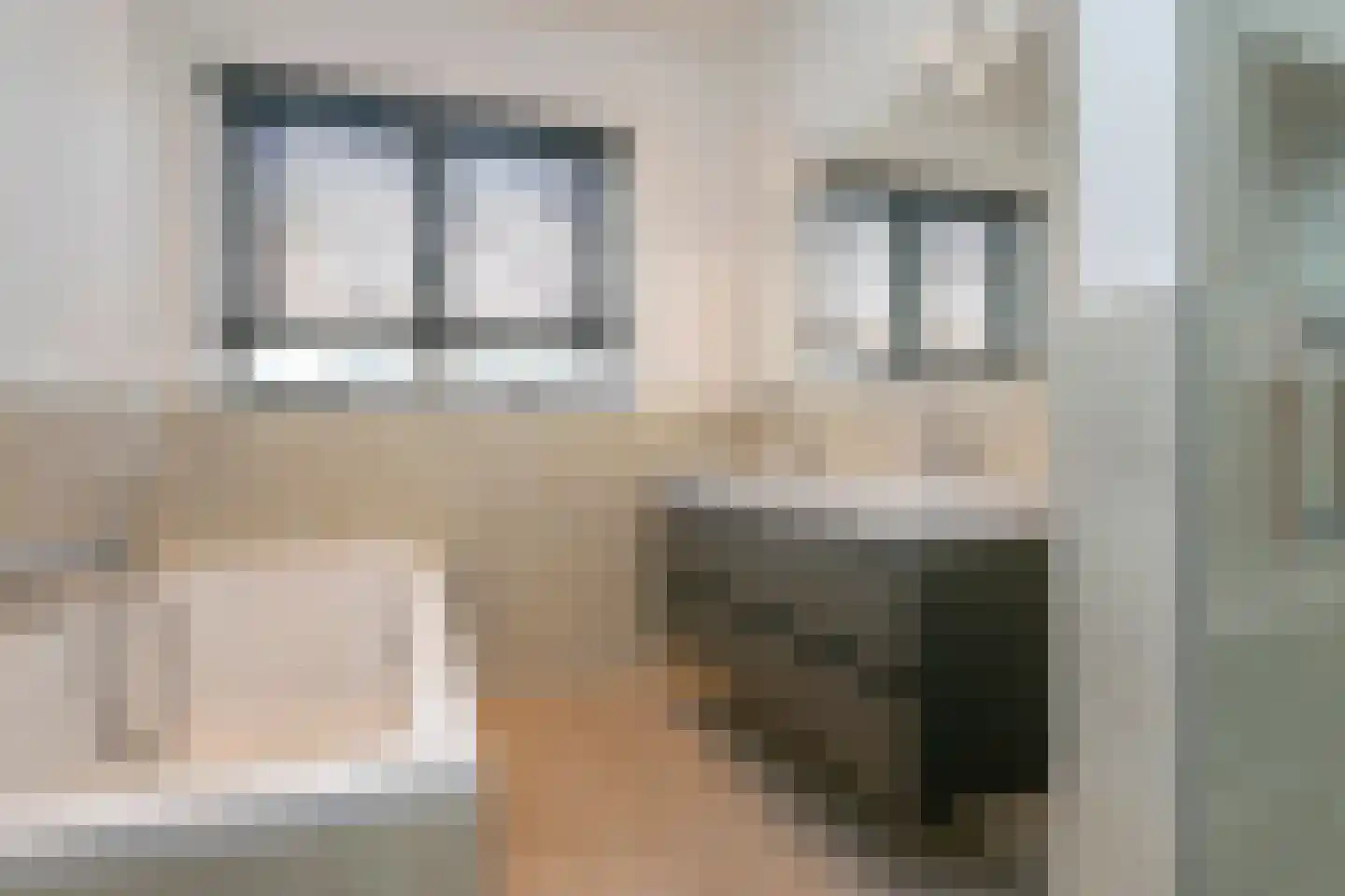 Goudsbloemlaan 43 Den Haag thumbnail 21