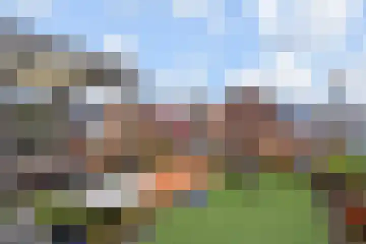 Goudsbloemlaan 51 Den Haag thumbnail 28
