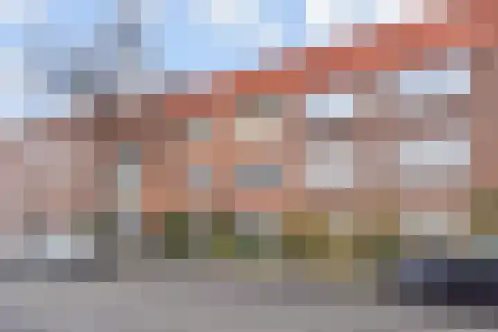 Goudsbloemlaan 51 Den Haag thumbnail 30