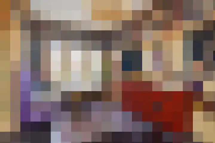 Goudsbloemlaan 51 Den Haag thumbnail 5
