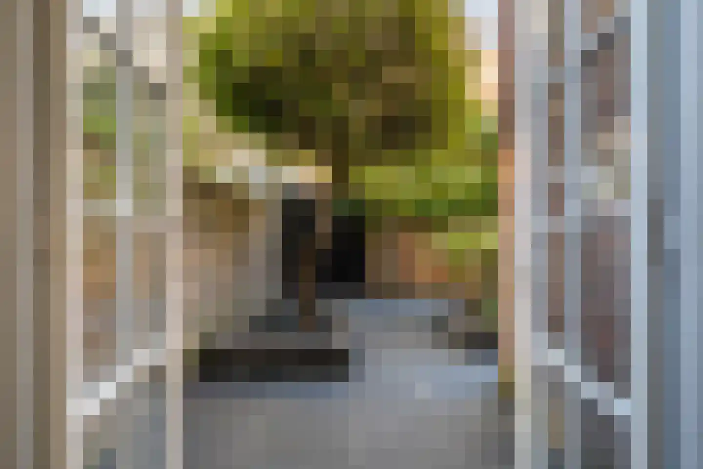 Goudsbloemlaan 61 Den Haag thumbnail 30