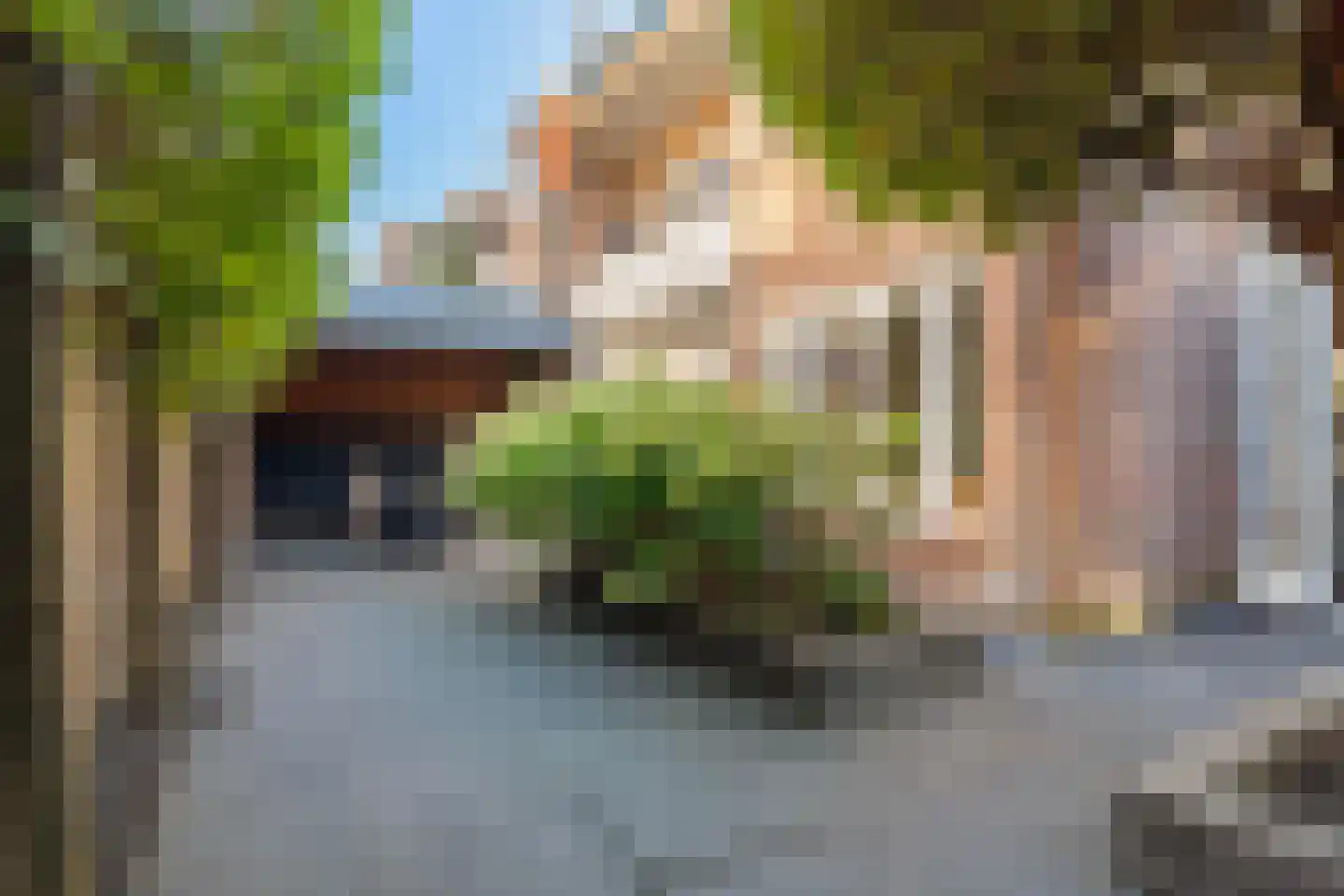 Goudsbloemlaan 61 Den Haag thumbnail 32