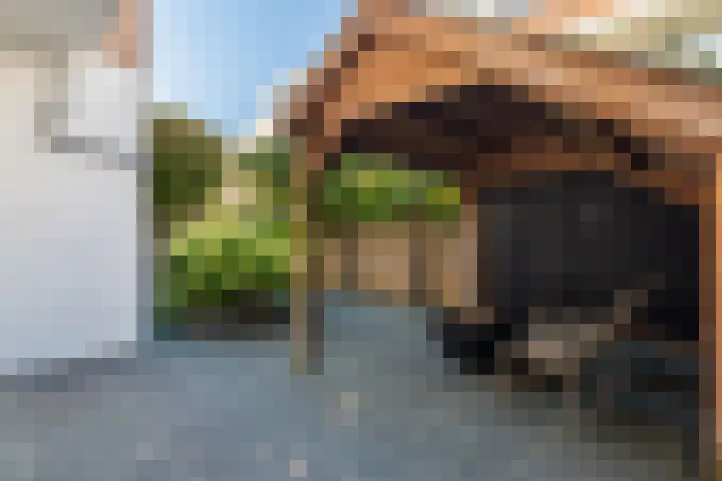 Goudsbloemlaan 61 Den Haag thumbnail 34