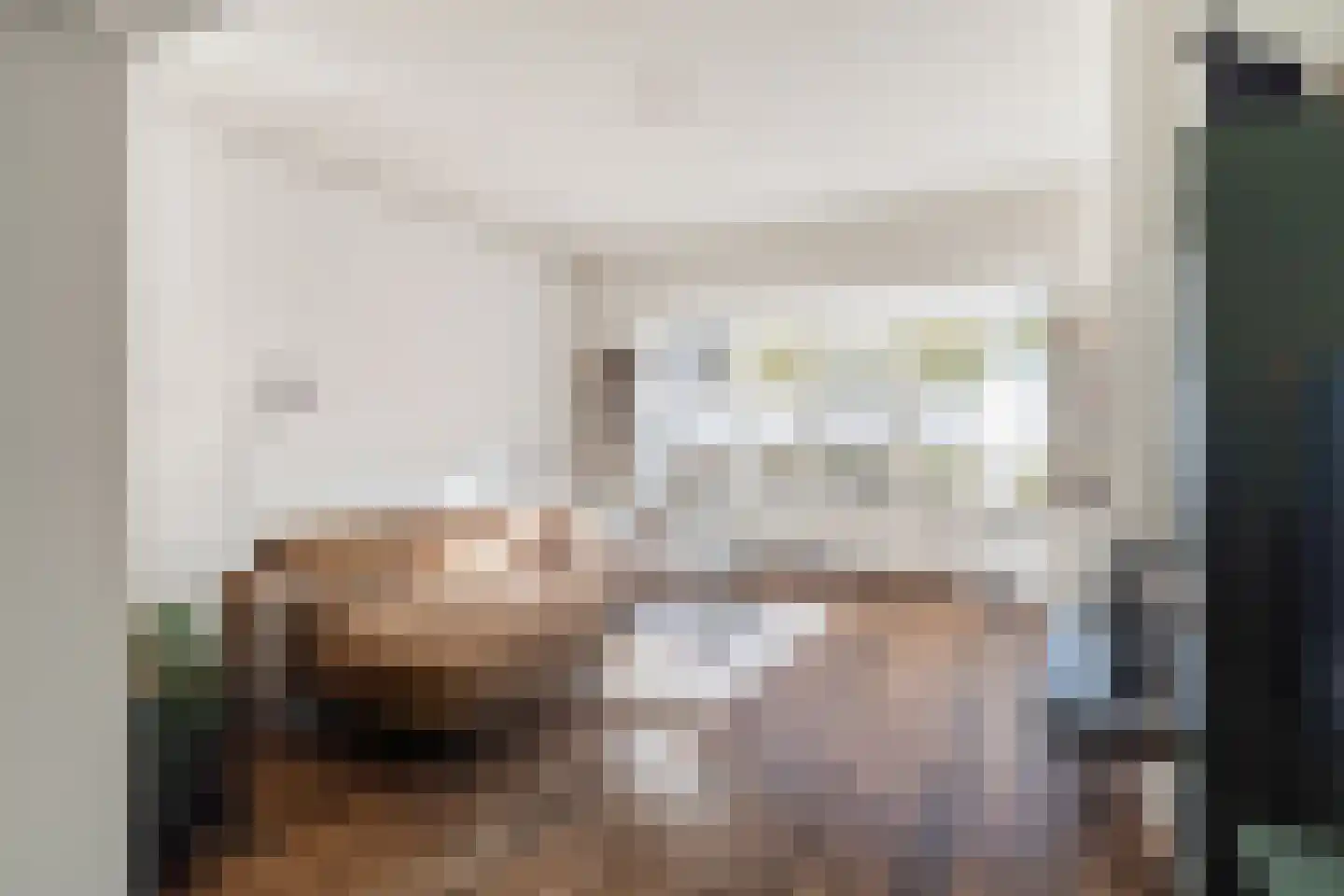 Goudsbloemlaan 61 Den Haag thumbnail 4