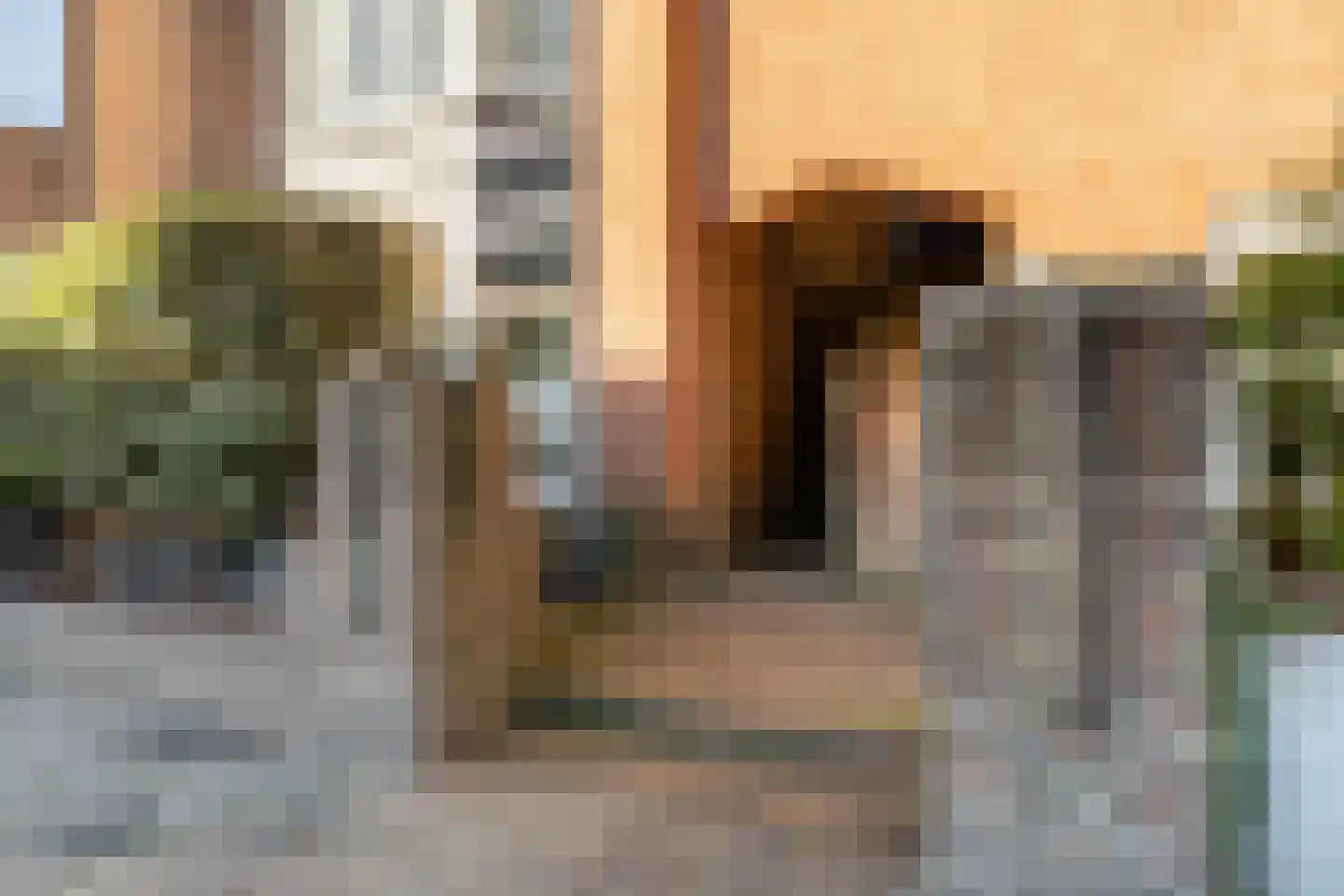 Goudsbloemlaan 61 Den Haag thumbnail 41