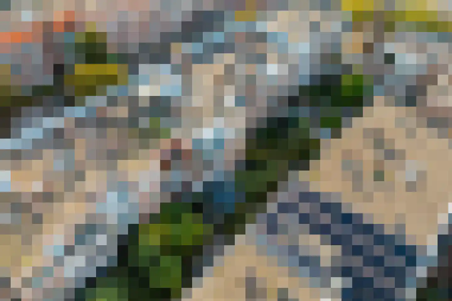Goudsbloemlaan 61 Den Haag thumbnail 48