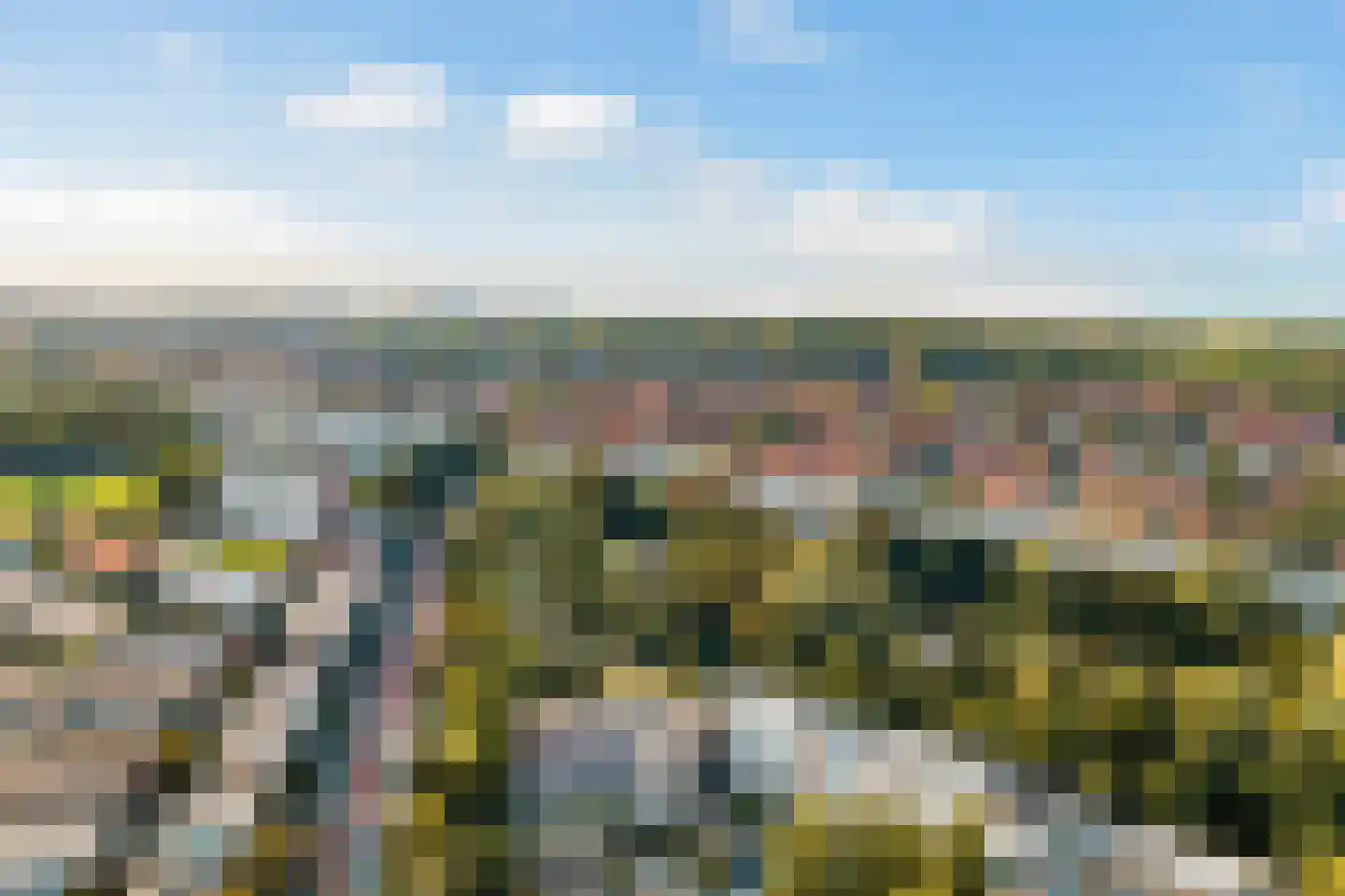 Goudsbloemlaan 61 Den Haag thumbnail 49