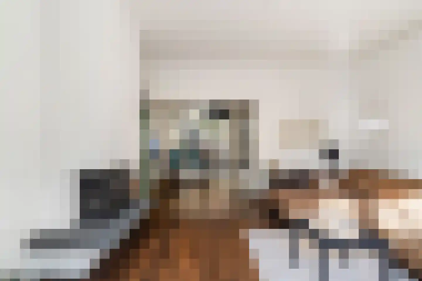Goudsbloemlaan 61 Den Haag thumbnail 6