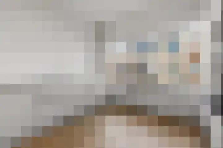 Goudsbloemlaan 63 Den Haag thumbnail 11