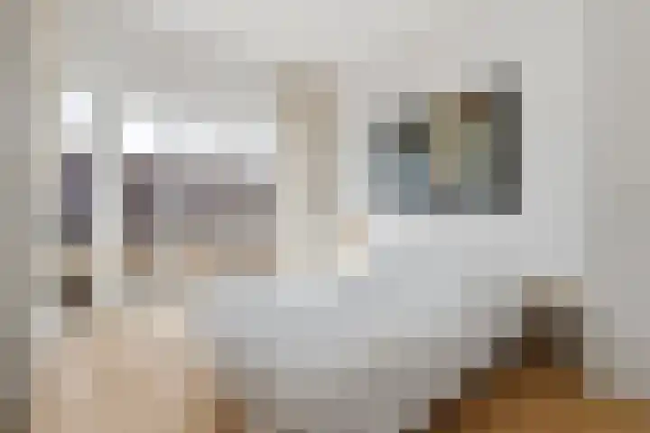 Goudsbloemlaan 63 Den Haag thumbnail 22
