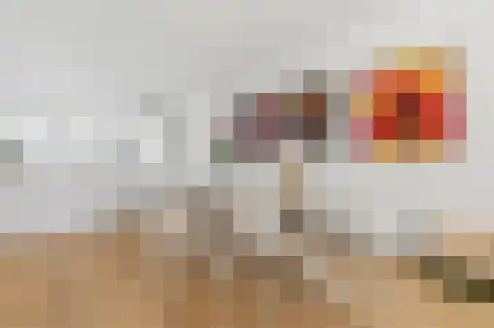 Goudsbloemlaan 63 Den Haag thumbnail 5