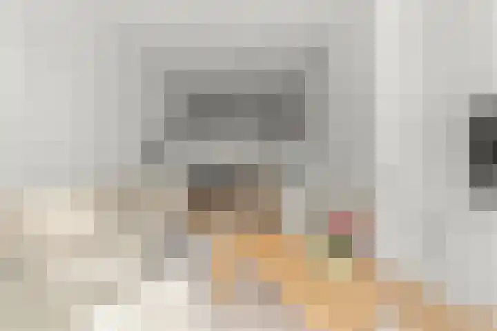 Goudsbloemlaan 63 Den Haag thumbnail 6