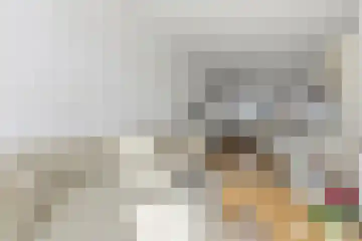Goudsbloemlaan 63 Den Haag thumbnail 7