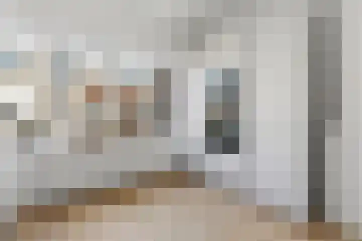 Goudsbloemlaan 63 Den Haag thumbnail 9