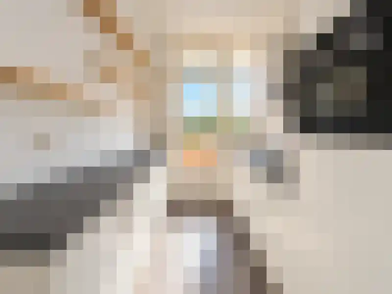 Goudsbloemlaan 96 Den Haag thumbnail 9