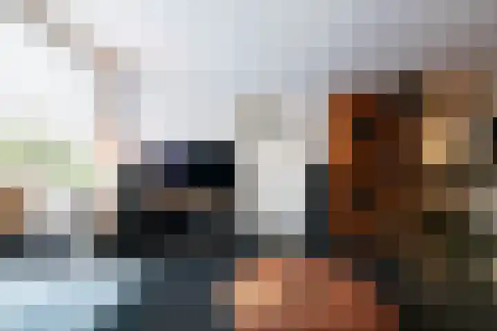 Goudsbloempad 4 Spijkenisse thumbnail 10