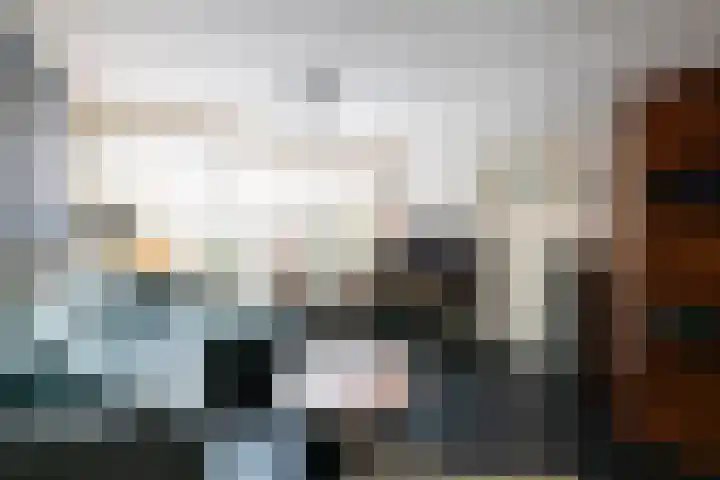 Goudsbloempad 4 Spijkenisse thumbnail 11