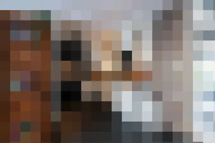 Goudsbloempad 4 Spijkenisse thumbnail 12