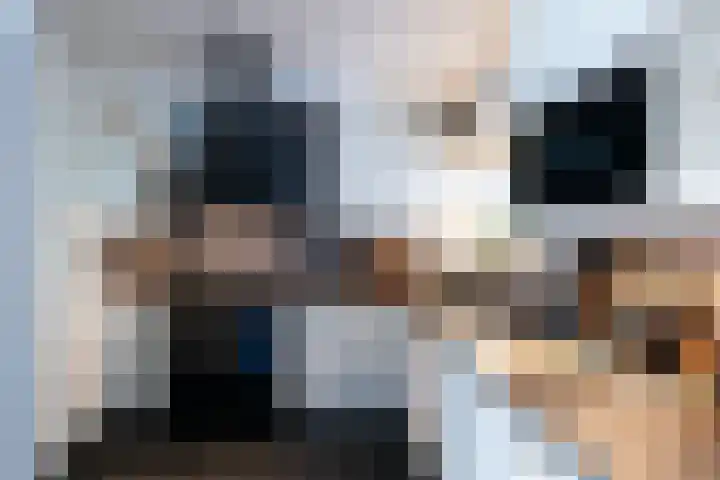 Goudsbloempad 4 Spijkenisse thumbnail 13