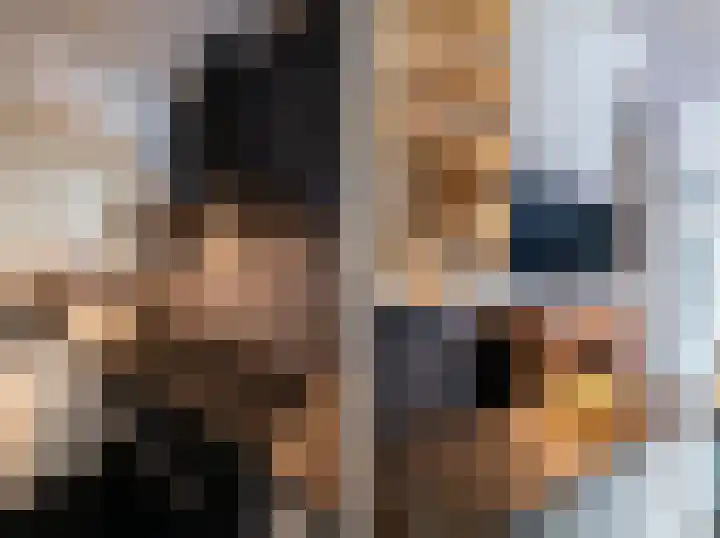 Goudsbloempad 4 Spijkenisse thumbnail 15