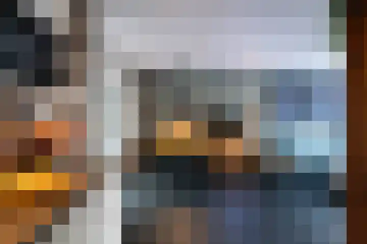 Goudsbloempad 4 Spijkenisse thumbnail 16