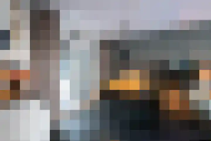 Goudsbloempad 4 Spijkenisse thumbnail 17