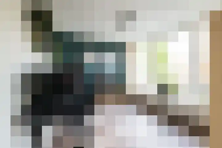 Goudsbloempad 4 Spijkenisse thumbnail 18