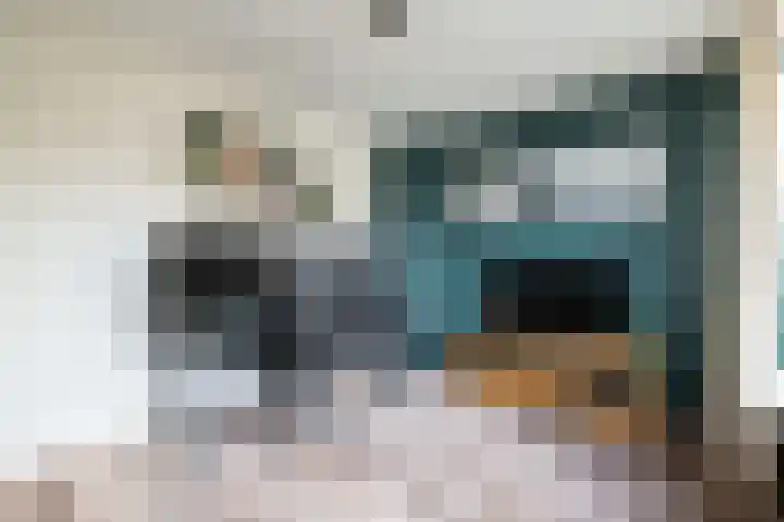 Goudsbloempad 4 Spijkenisse thumbnail 19