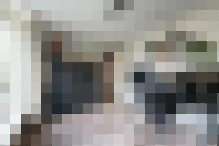 Goudsbloempad 4 Spijkenisse thumbnail 20