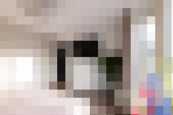 Goudsbloempad 4 Spijkenisse thumbnail 22