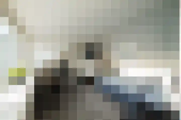 Goudsbloempad 4 Spijkenisse thumbnail 28