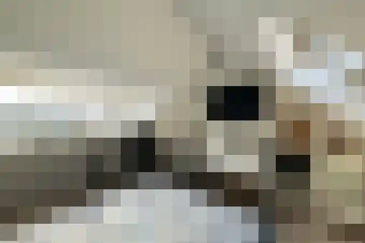 Goudsbloempad 4 Spijkenisse thumbnail 30