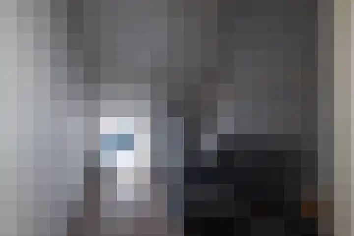 Goudsbloempad 4 Spijkenisse thumbnail 31