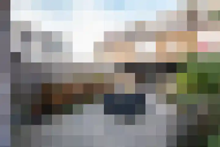 Goudsbloempad 4 Spijkenisse thumbnail 32