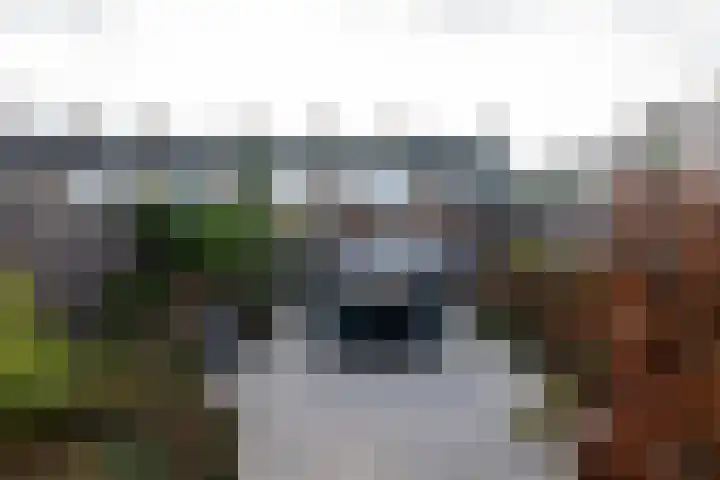 Goudsbloempad 4 Spijkenisse thumbnail 33