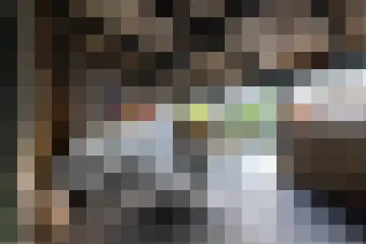 Goudsbloempad 4 Spijkenisse thumbnail 34