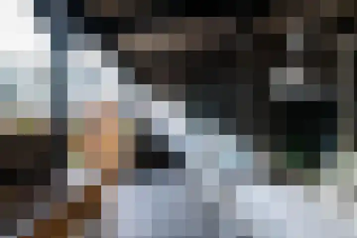 Goudsbloempad 4 Spijkenisse thumbnail 35